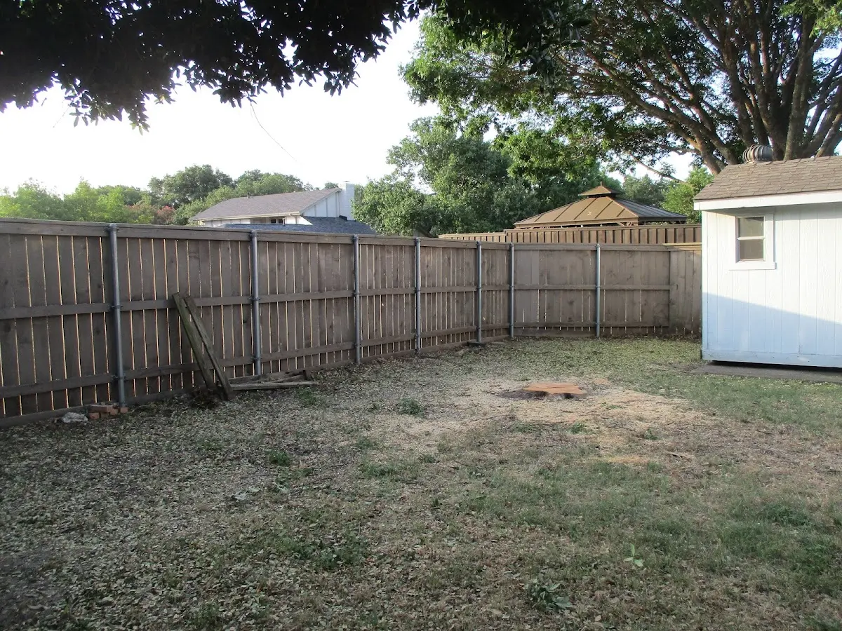Cleared yard after professional tree removal in Mertztown